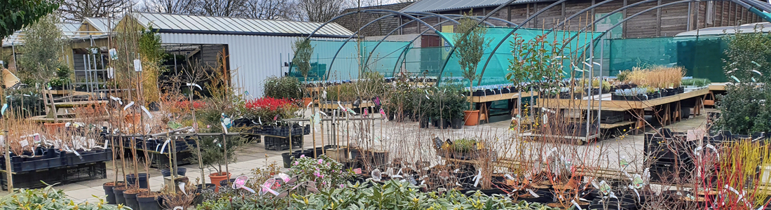 Tuincentrum De Zandkop